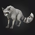 Realistic Gray Raccoon With Striped Tail Standing On Dark Background 3d model
