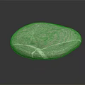 Natural Gray Wood Stone With White Veins Smooth Surface And Black Background Reflection