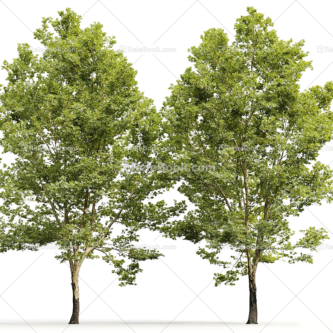 Modern Tree Landscape Tree Trees 3d model