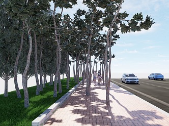 forest path sidewalk pine cypress hedgerow 3d model