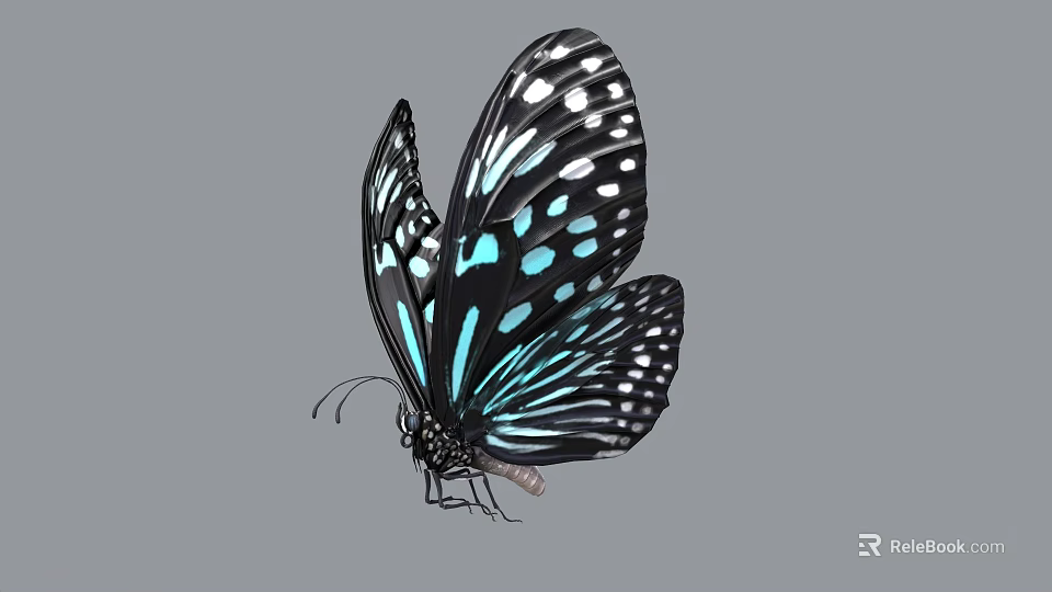 Black And Turquoise Flying Butterfly With White Spots On Spread Wings 3d model 