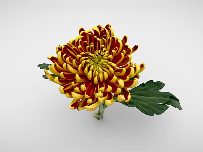 Decorative Vase Flower Arrangement with Yellow and Red Chrysanthemum and Green Leaves 3d model