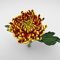 Decorative Vase Flower Arrangement with Yellow and Red Chrysanthemum and Green Leaves