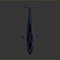 Realistic 3D Blue Whale Model With Open Mouth Shiny Skin And Dark Background