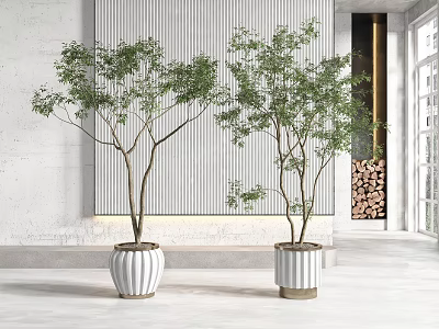 Bonsai Potted Plants With White Planters In Indoor Modern Space Green Foliage Stripe Wall Art 3d model