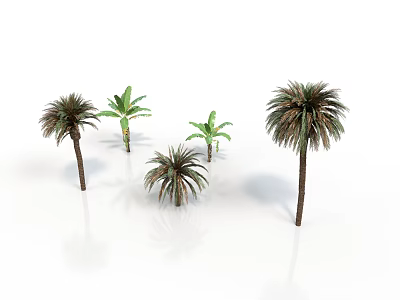 Different Tropical Plants Including Palm Trees And Banana Plants On White Background 3d model