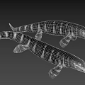 Prehistoric Aquatic Ichthyosaurus With Striped Body Long Snout And Sharp Teeth