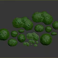 Lush Green Plants With Various Round Shapes And Grass Like Foliage Arranged On Ground