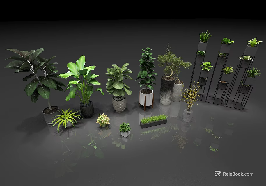 Variety of Indoor Plants in Different Sizes and Ceramic Metal Pots for Home Decor 3d model 