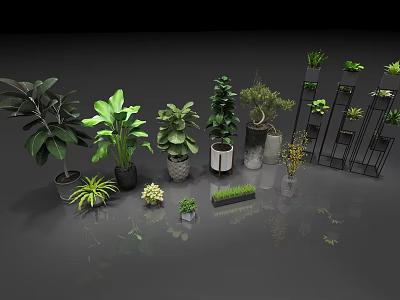 Variety of Indoor Plants in Different Sizes and Ceramic Metal Pots for Home Decor 3d model