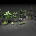 Variety of Indoor Plants in Different Sizes and Ceramic Metal Pots for Home Decor