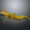 Crocodile Alligator Nile Crocodile carnivore reptile cold-blooded animal reptile 3d model
