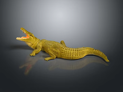 Crocodile Alligator Nile Crocodile carnivore reptile cold-blooded animal reptile 3d model