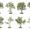 Modern tree pool landscape tree courtyard tree modeling tree cluster arbor 3d model