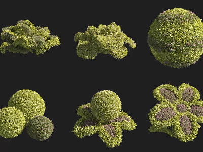 Various Shaped Green Shrubs With Purple Accents For Garden Landscape Design 3d model