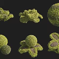 Various Shaped Green Shrubs With Purple Accents For Garden Landscape Design