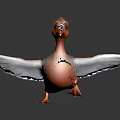 Colorful Duck Standing with Orange Crest Yellow Beak Red Feet White Blue Wings on Black