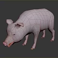 Detailed 3D Model Pink Pig Standing On Smooth Surface With Gray Background