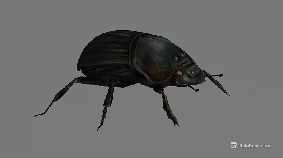 Black Beetle With Shiny Exoskeleton And Long Legs On Gray Background 3d model 