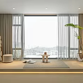 Modern Light Gray Curtains in Living Room with Large Window City View Plants and Decor