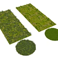 Different Ground Cover Varieties with Rectangular and Circular Shapes Lush Green Foliage for Garden Design
