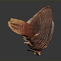 Red Fish With Vibrant Scales And Detailed Texture On Dark Background
