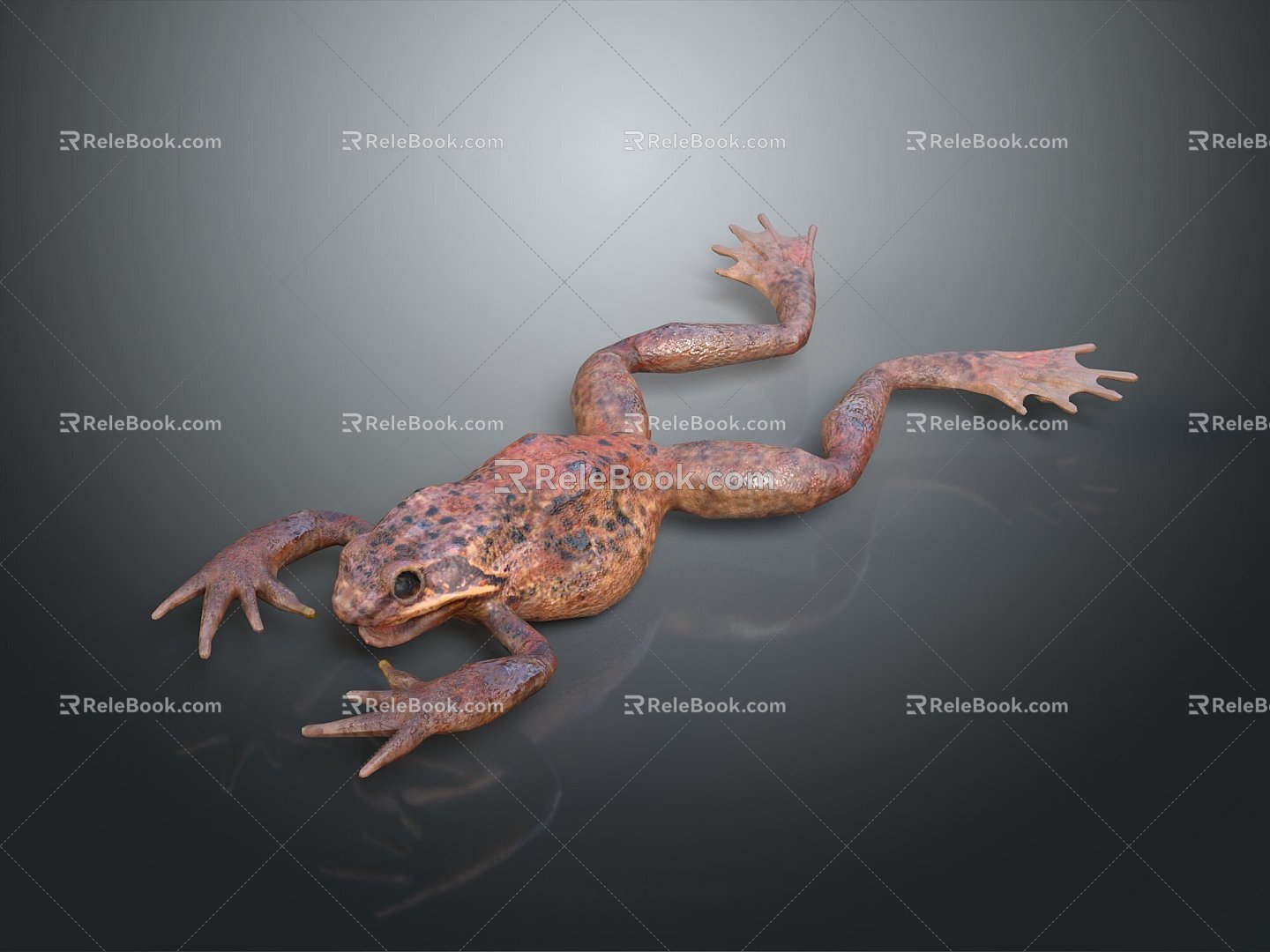 Frog Frog Frog Poison Frog Game Frog Reptile Cold Blooded Animal Reptile Reptile 3d model