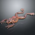 Brown And Red Reptile With Extended Limbs On Dark Background With Reflection