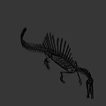Spinosaurus Dinosaur Skeleton With Prominent Spine And Detailed Bone Structure