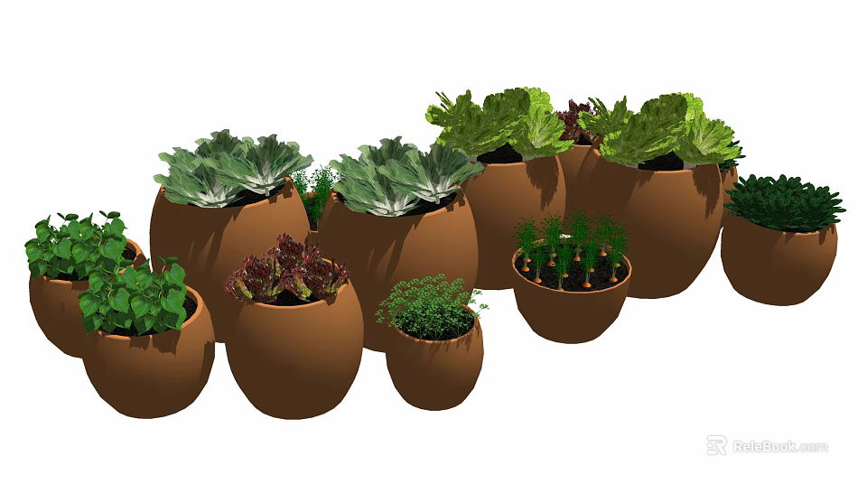 Bonsai Potted Plants In Brown Ceramic Pots With Various Green And Purple Leaves 3d model 