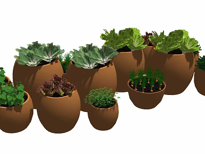 Bonsai Potted Plants In Brown Ceramic Pots With Various Green And Purple Leaves 3d model