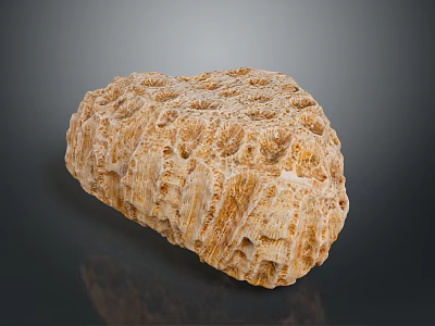 Natural Wooden Stone Block With Rough Textured Surface And Organic Patterns 3d model