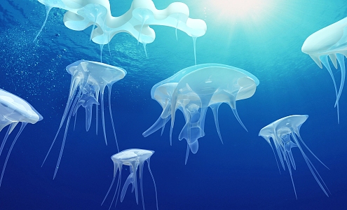 modern jellyfish 3d model