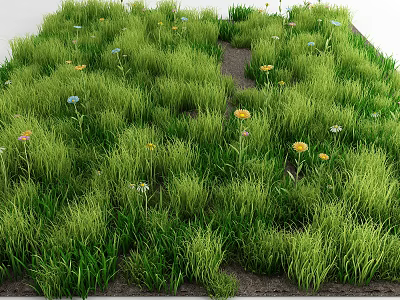 Lush Green Grass With Small Yellow And Blue Flowers Growing Along Dirt Path 3d model