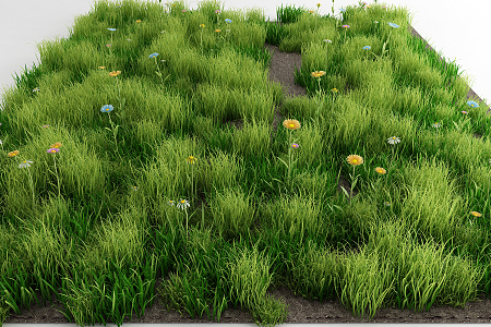 modern grassland 3d model