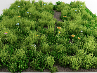 modern grassland 3d model