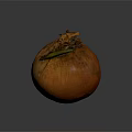 Fresh Brown Onion With Green Leaf And Textured Surface On Dark Background