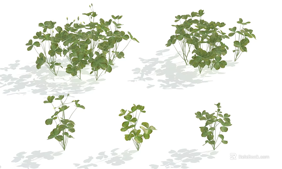 Various Green Leafy Shrubs Showing Different Growth Patterns And Soft Shadows 3d model