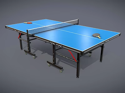 Portable Ping Pong Table Sports Equipment With Net Paddle And Ball 3d model