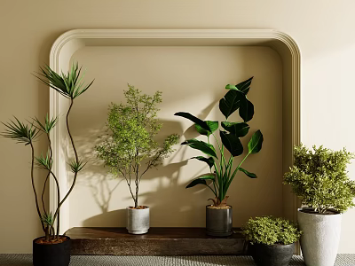 Various Potted Bonsai Plants with Different Leaf Shapes on Decorative Shelf 3d model