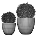 Large and Small Green Topiary Bushes in White Planters for Outdoor Decor