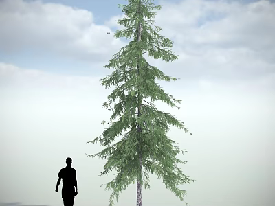 Tall Green Arbor With Human Silhouette Against Blue Sky And White Clouds 3d model