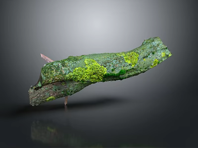 Lush Green Moss Plant Growing On Weathered Wooden Branch With Dark Background 3d model