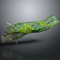 Lush Green Moss Plant Growing On Weathered Wooden Branch With Dark Background