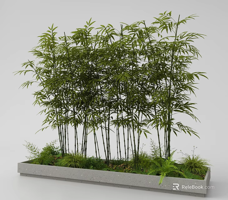 Tall Lush Bamboo Growing in Concrete Planter with Small Green Plants 3d model 