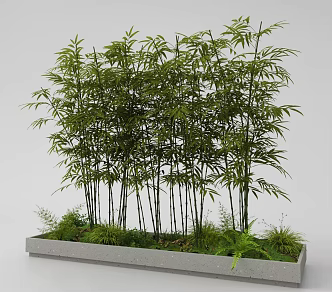 Modern Bamboo Flower Pond Cuizhuyuan Forest Bamboo 3d model