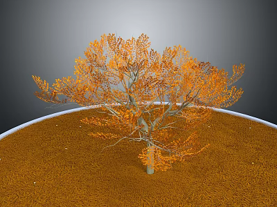 Tree With Orange Leaves And Gray Trunk On Circular Brown Ground And Gray Background 3d model