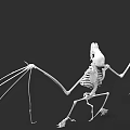 Pterosaur Skeleton Fossil Showing Extended Wings And Detailed Anatomical Structure