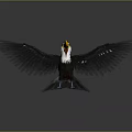 Modern bird toucan Togo toucan large toucan 3d model