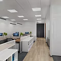 Modern Public Office Space With Open Workstations Green Plants Bright Lighting And Wooden Flooring